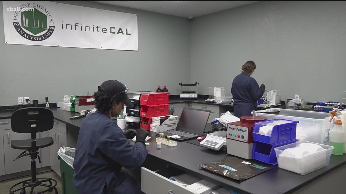 One of the state's largest cannabis testing sites opens in SD - Vimarsana News