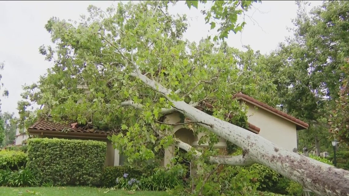 Tropical Storm Hilary San Diego clean up - Vimarsana News