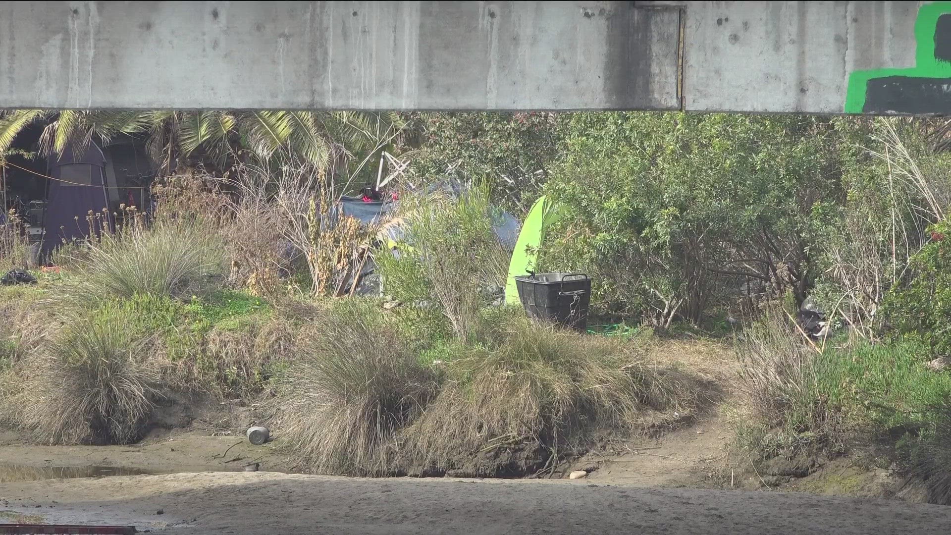 The San Diego River Park Foundation counted 124, compared to 90 before the ban took effect.