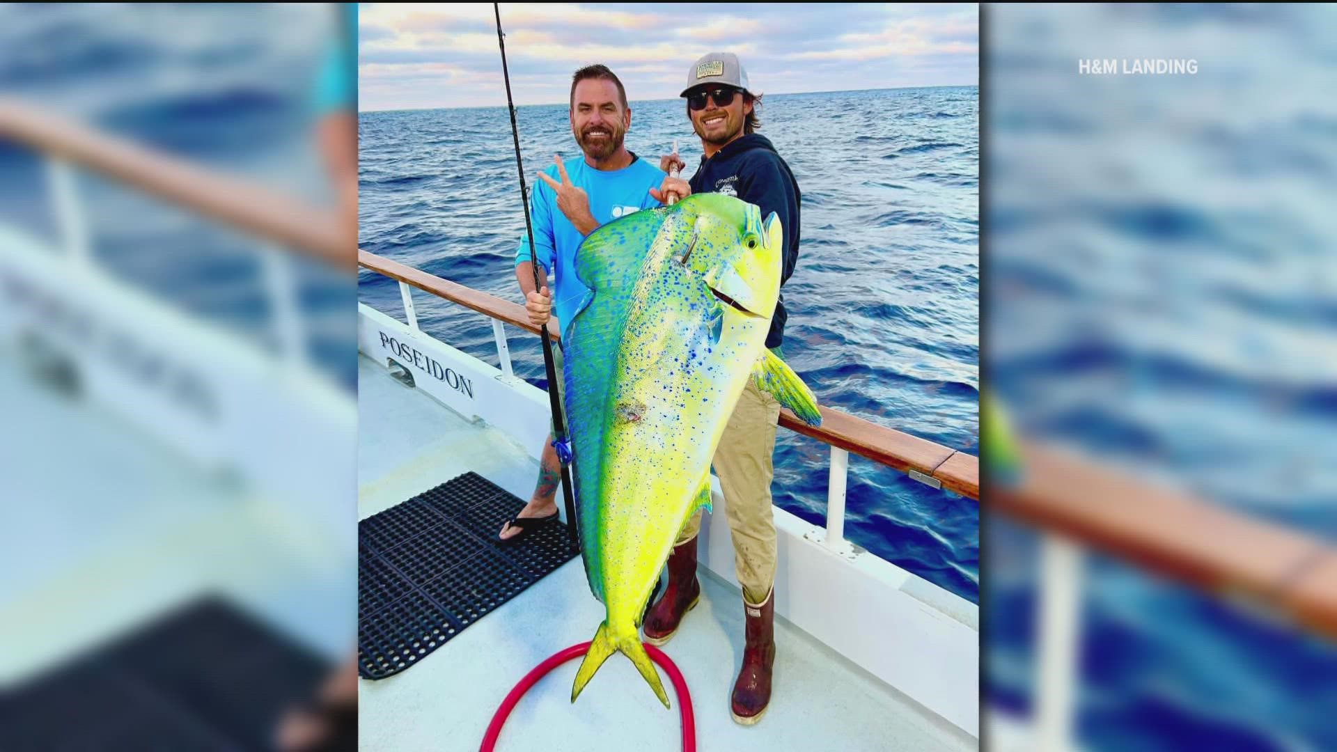 The warmer ocean temperatures off San Diego's coast is creating unprecedented amount of fish for anglers.