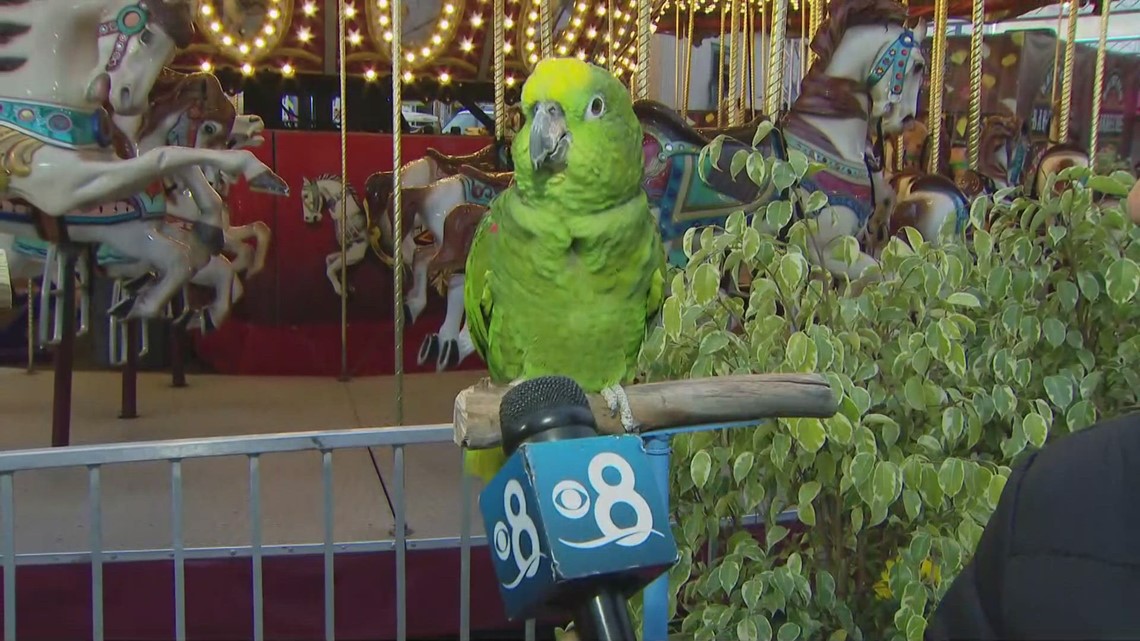 Watch 'Camp Squawk-a-lot' at the San Diego County Fair