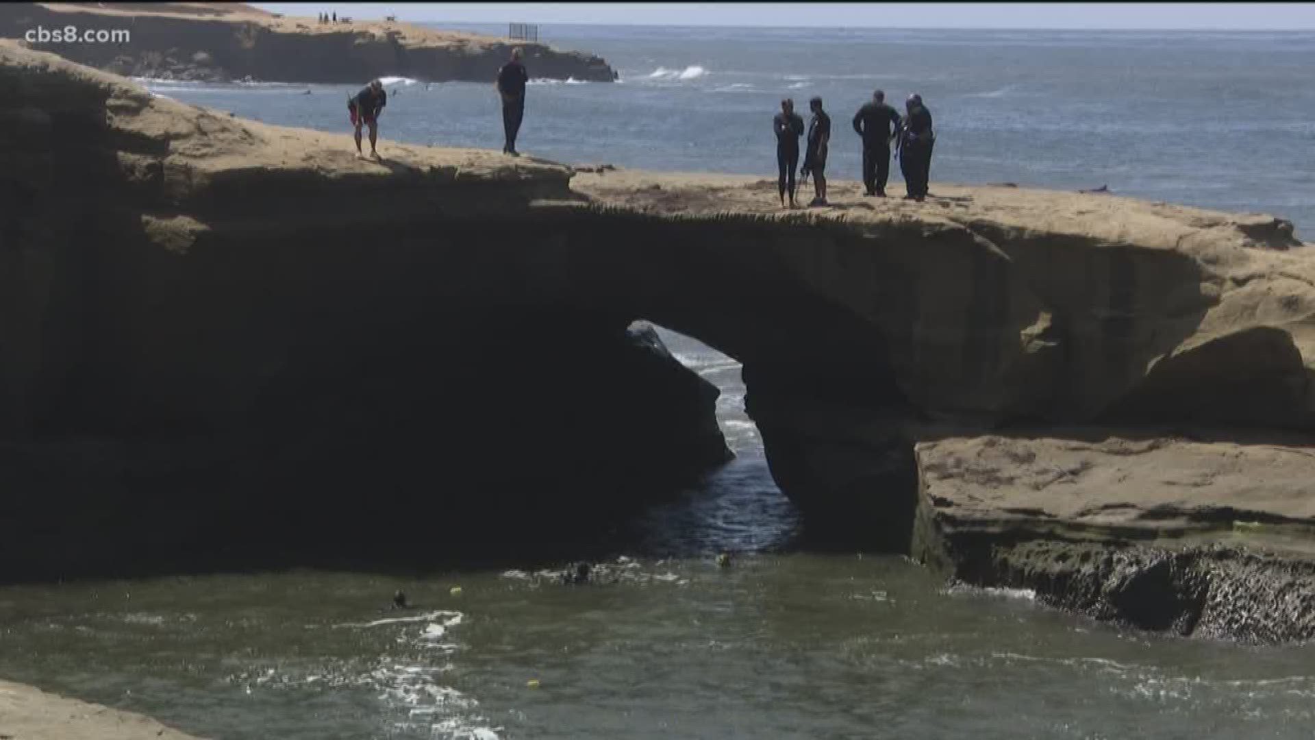 The 15-year old jumped off a cliff into the water and was not able to swim in the rough surf.
