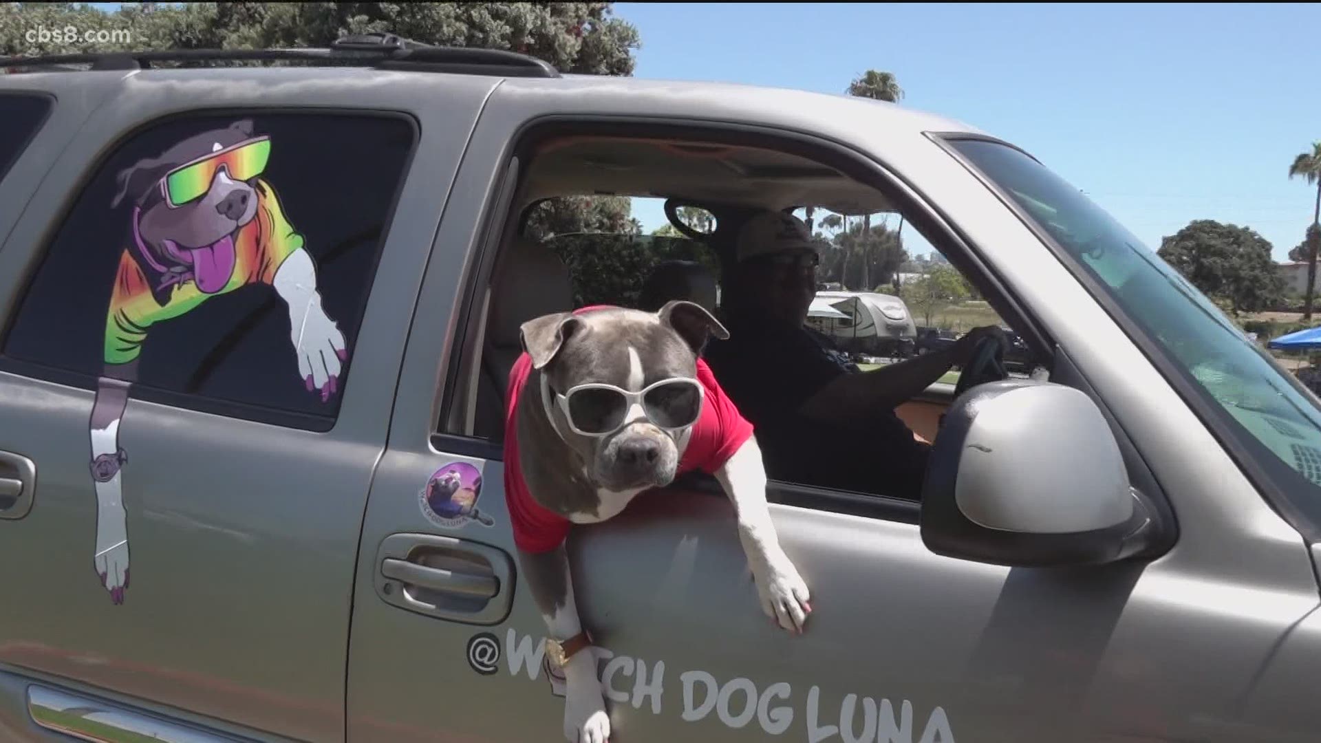 The famous dog is known for her stunner shades, flashy watch and can't forget the pink nails.