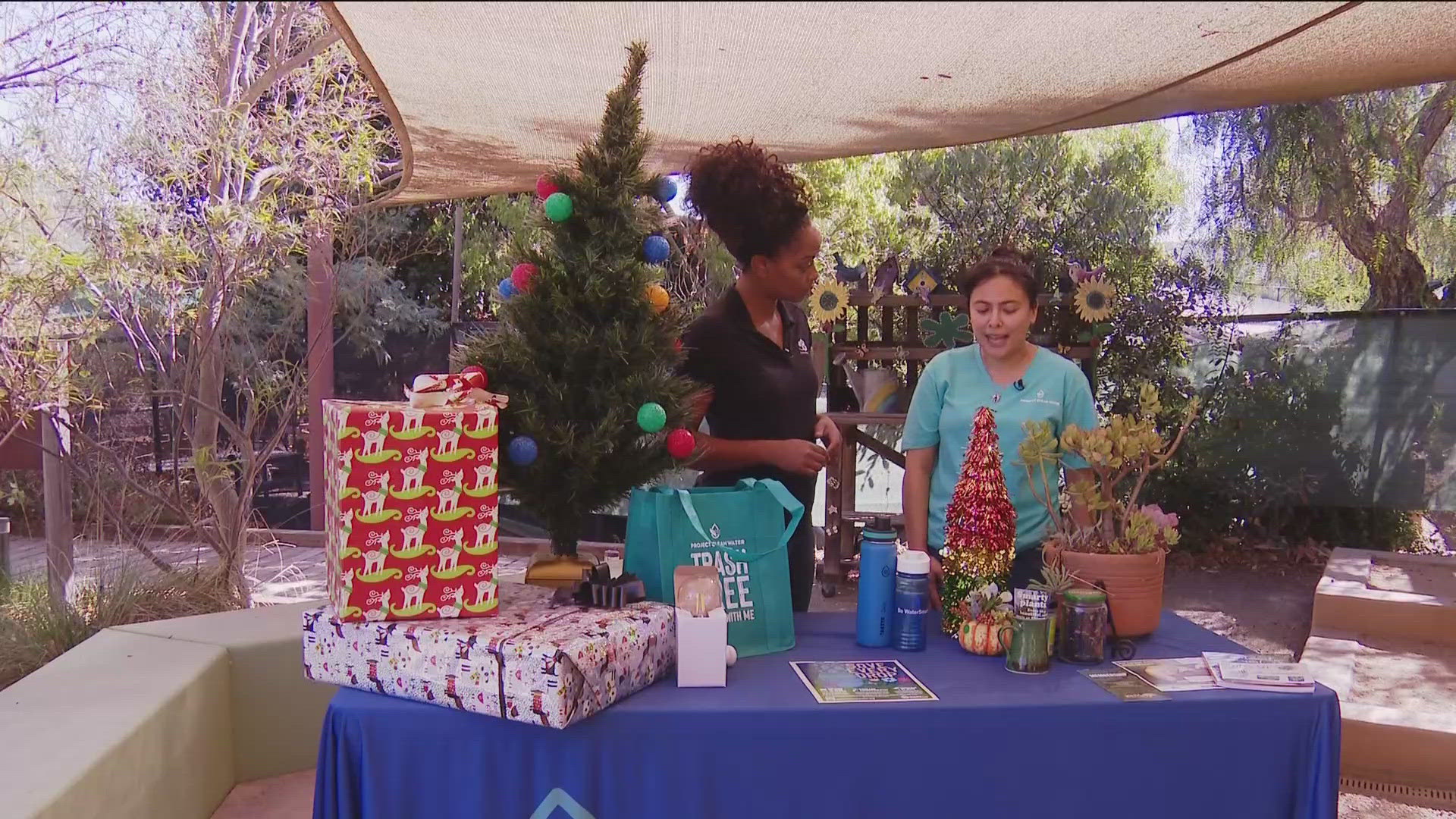 Chief Meteorologist Karlene Chavis shares some tips for an eco-friendly holiday season in this Earth 8 report.