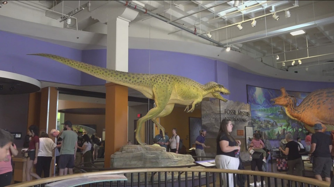 Celebrate 150 years at San Diego Natural History Museum