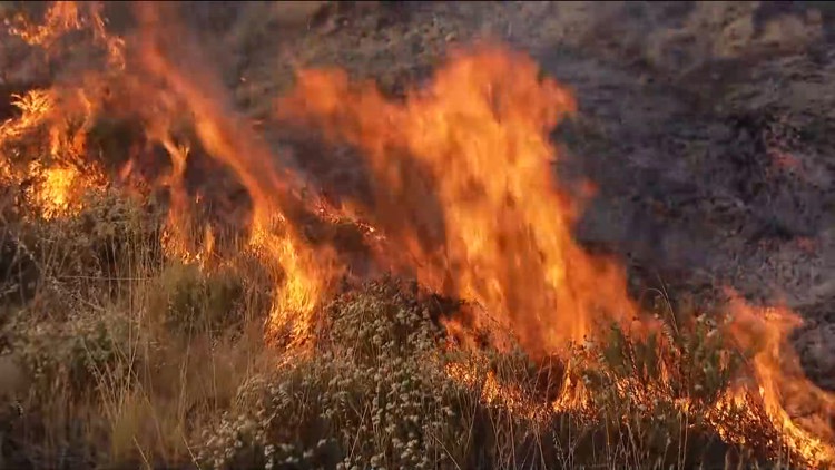 Fire crews halt forward rate of spread of vegetation fire in Vista ...