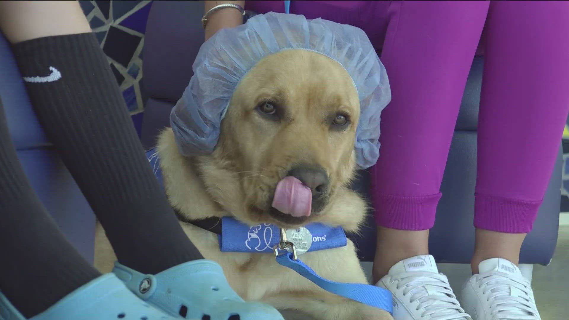 Rady Children's Hospital moves closer to launching its first canine therapy program with community support.