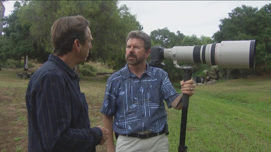 Poway photographer uniquely capturing wildlife from his backyard - Vimarsana News