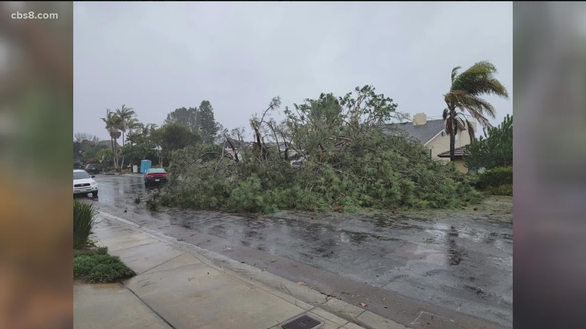 Storm damage clean up continues throughout San Diego County - Vimarsana News