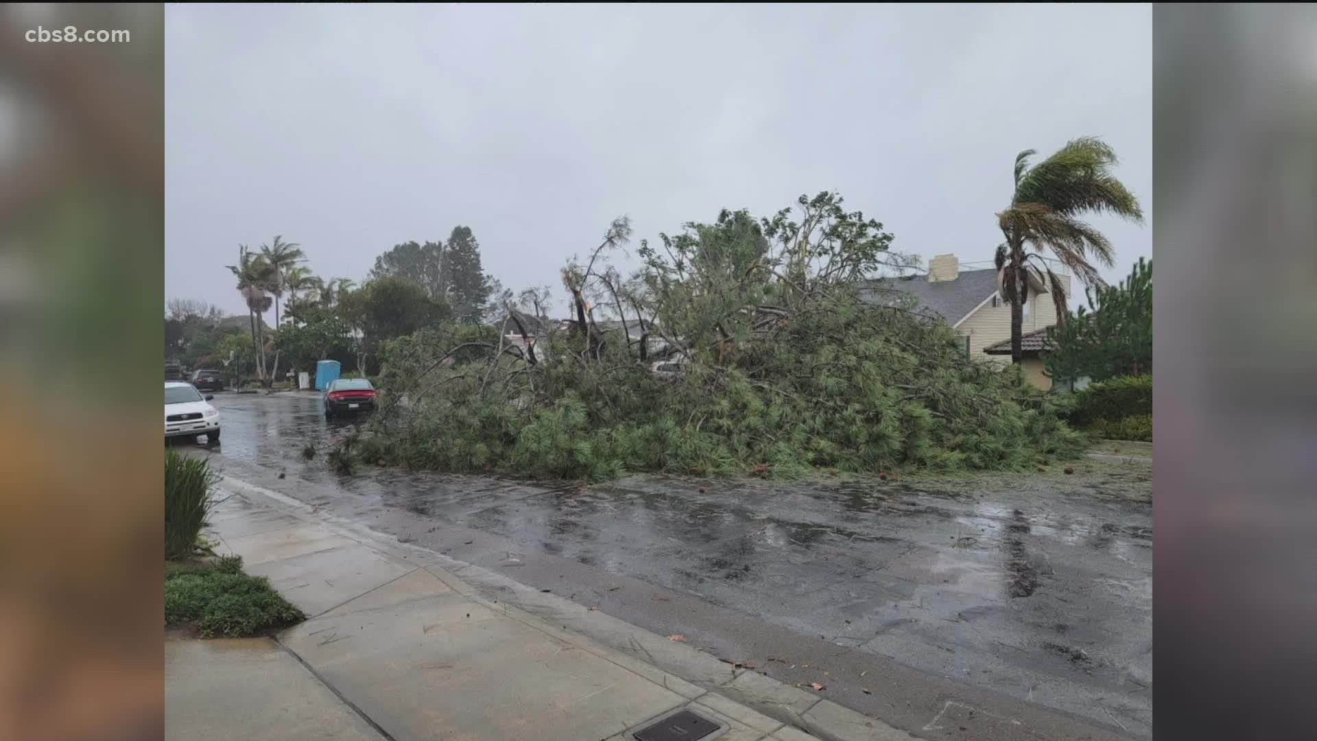 Storm damage clean up continues throughout San Diego County | cbs8.com