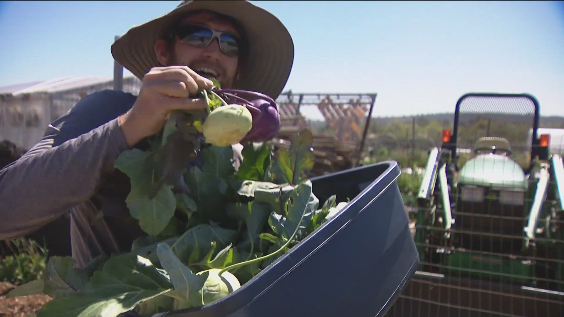 Federal budget cuts impact USDA, Medicaid funding in San Diego | cbs8.com
