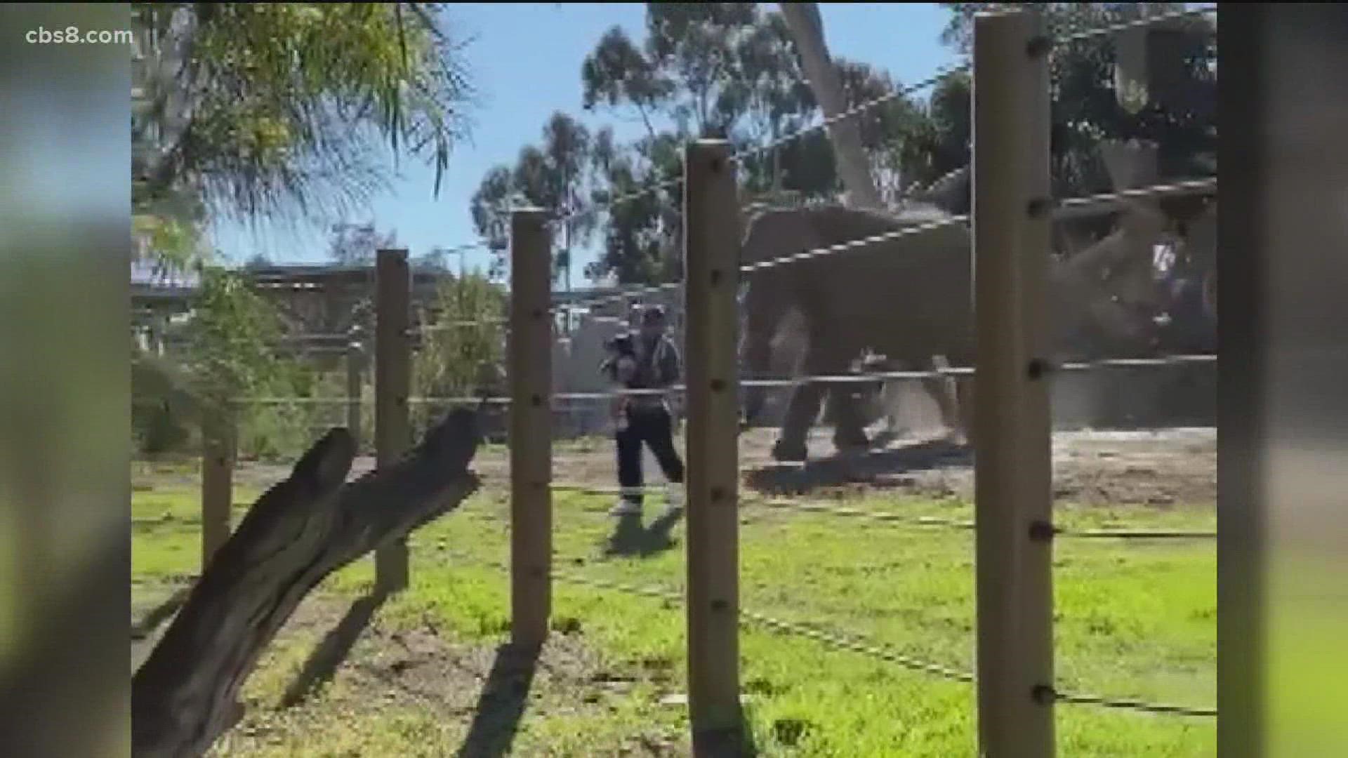 A man accused of carrying his daughter into an elephant enclosure has been ordered to stay away from the San Diego Zoo after child abuse and trespassing charges.