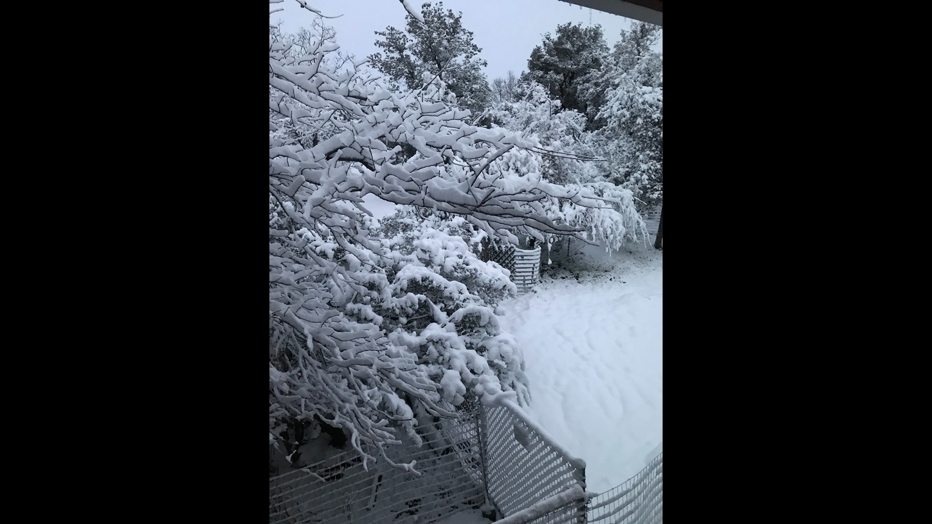 Virtually watch the snow in Julian, CA