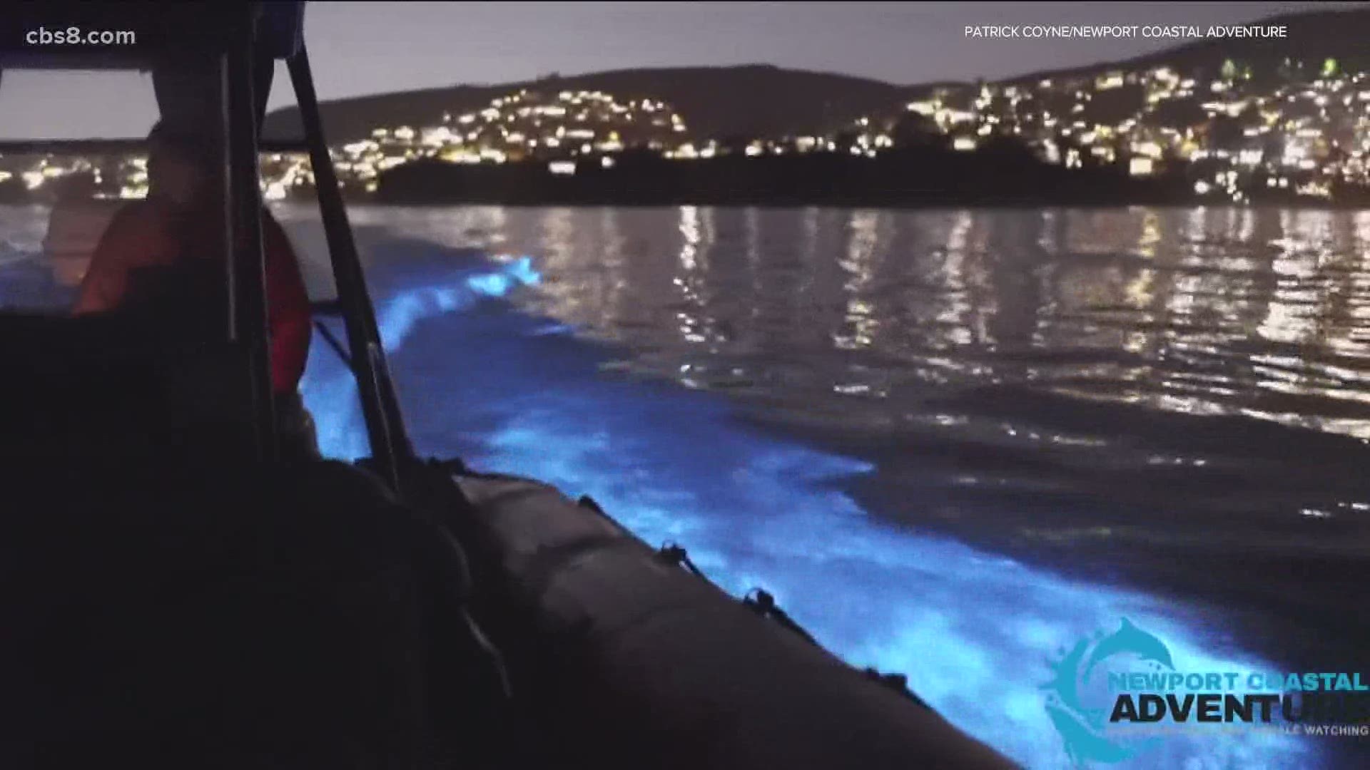 During the day, the algae bloom can cause the ocean to appear with a red or brown tint, but at night, when agitated, it can create a blue bioluminescence.