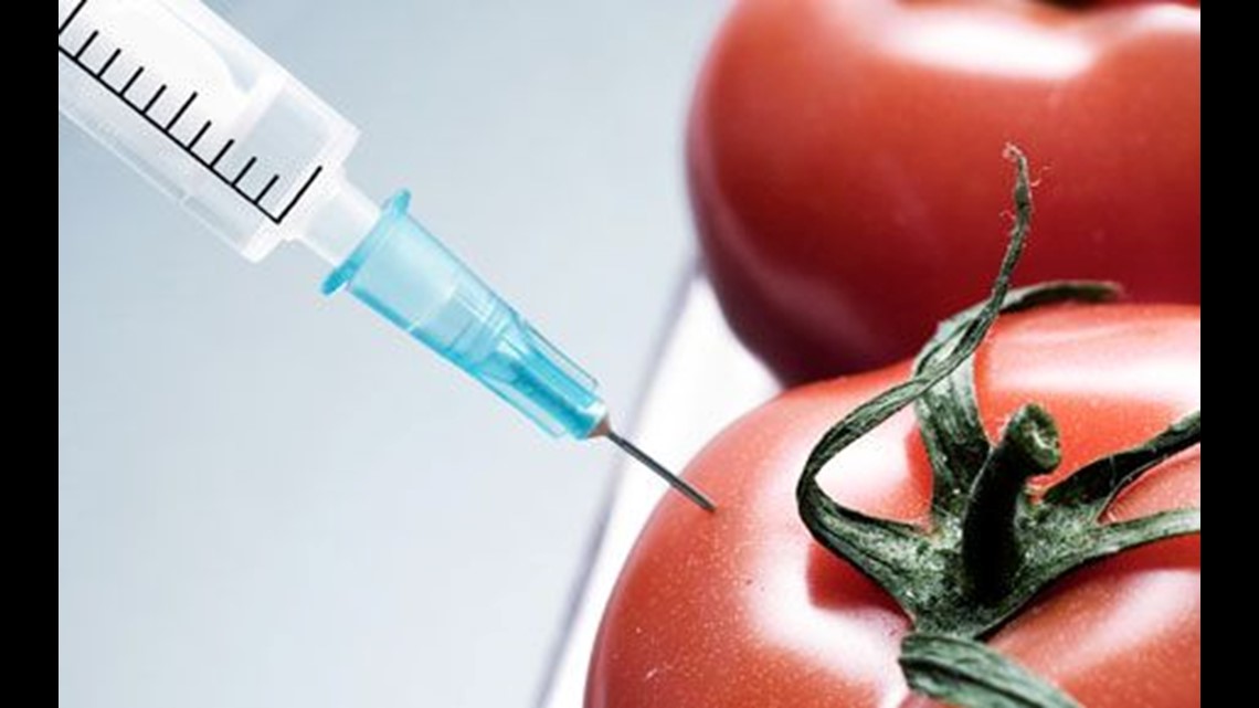 Report: Genetically altered food safe but not curing hunger | cbs8.com
