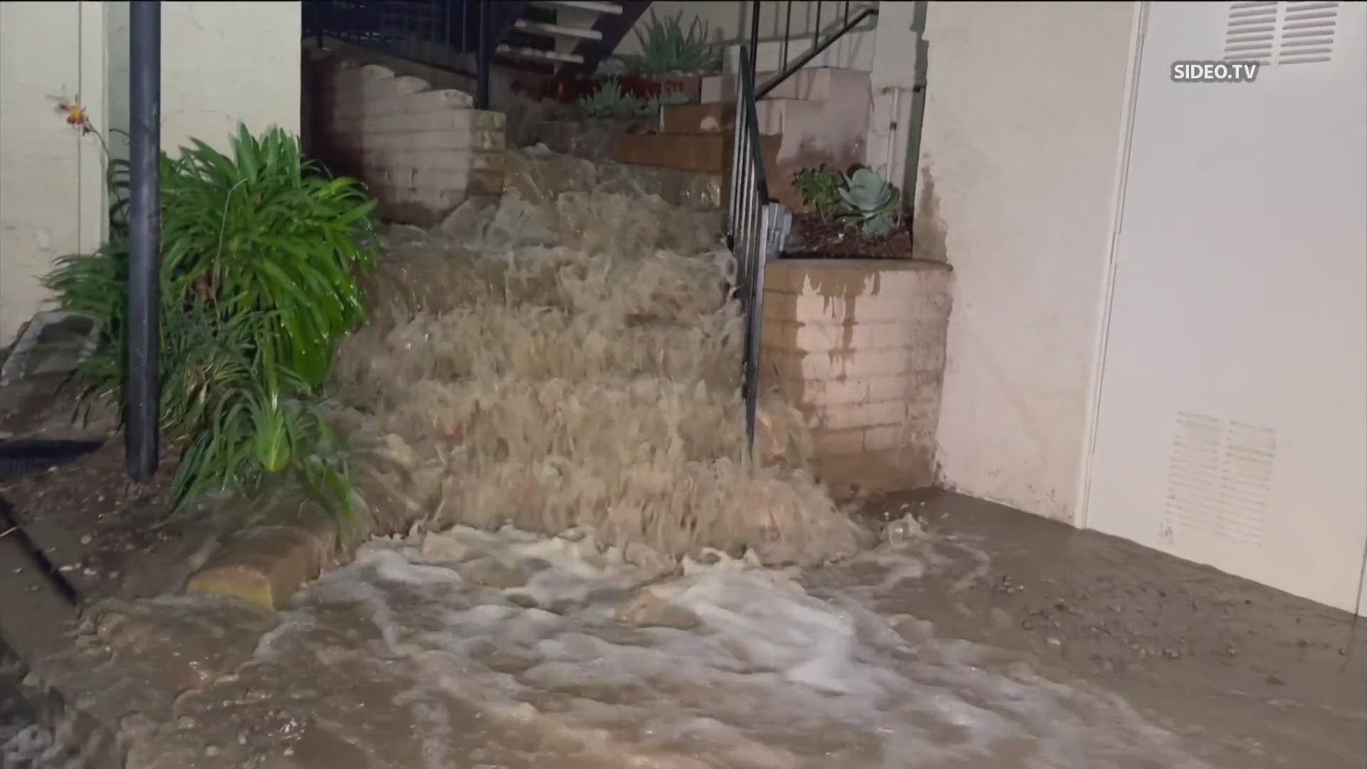 The condos flooded just before 11 p.m. Tuesday. The cause is the flooding is still under investigation.