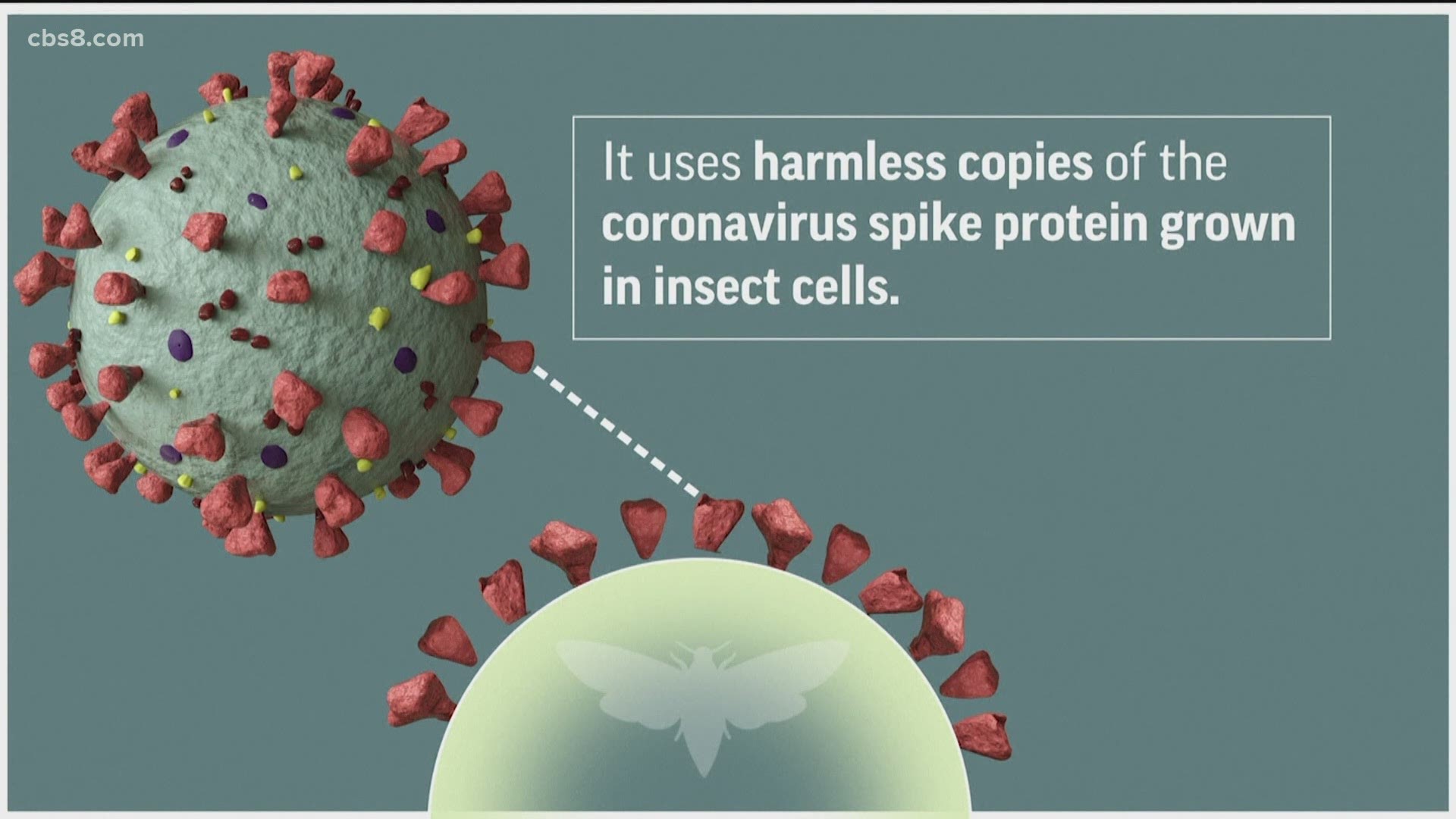 Novavax is seeking emergency use authorization for its coronavirus vaccine. It works differently than the other big three, but says it is around 90% effective