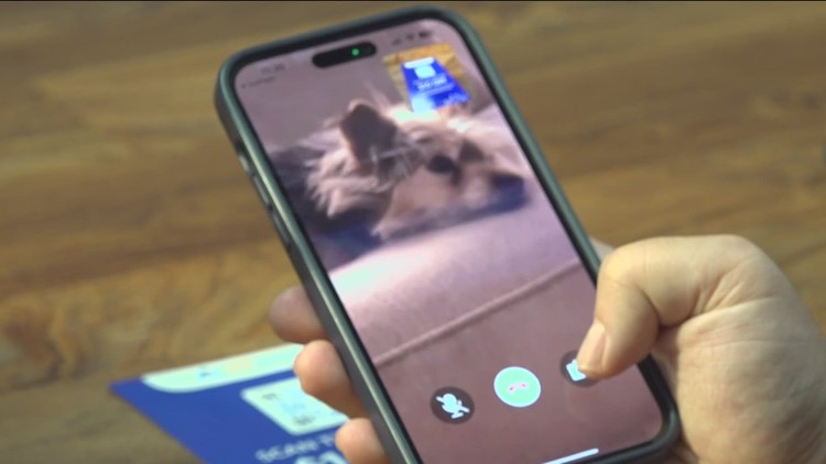 Telehealth for your pet | CA bill could pave the way for virtual veterinarian visits