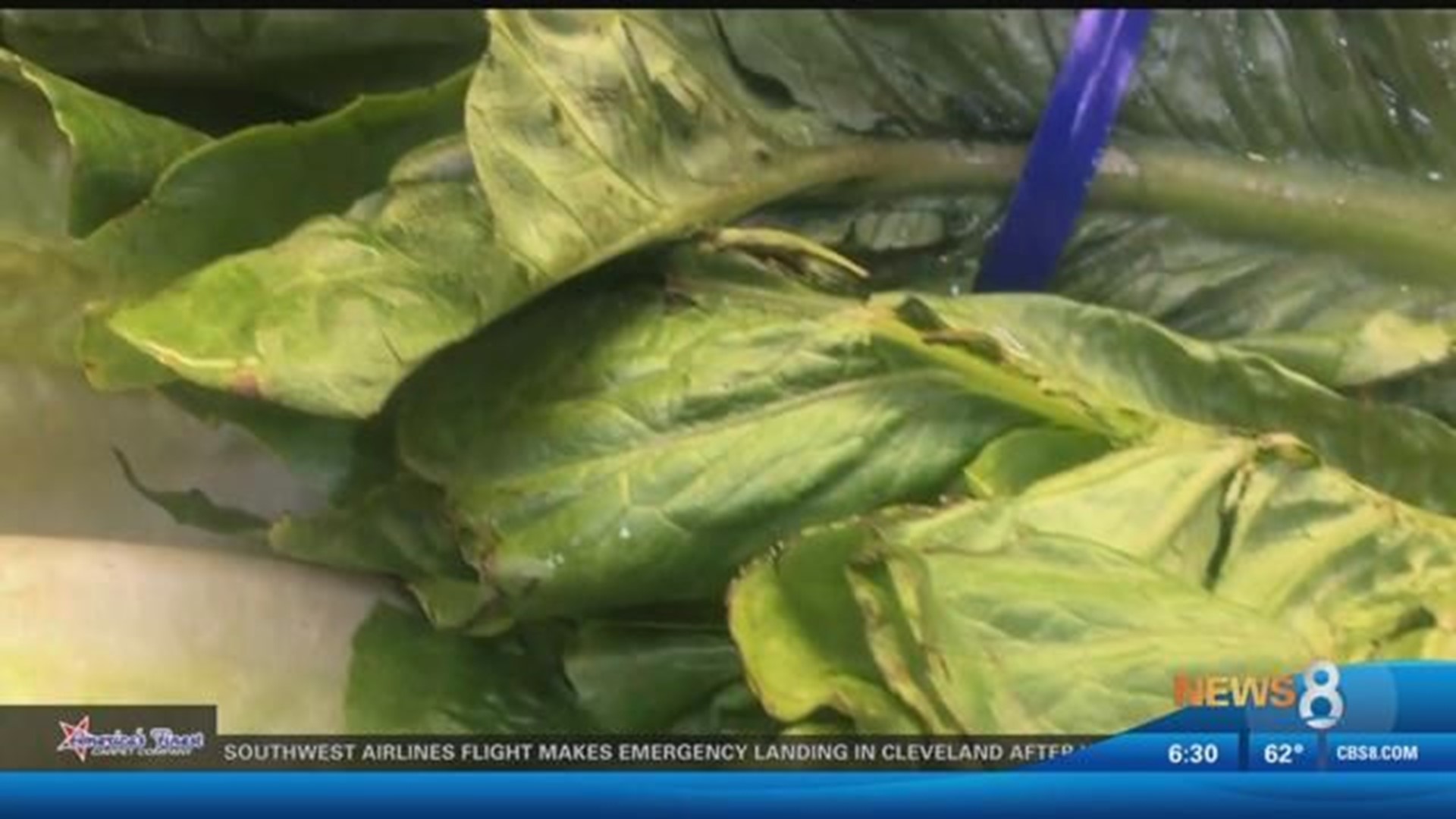 1st death reported in romaine lettuce E. coli outbreak from California
