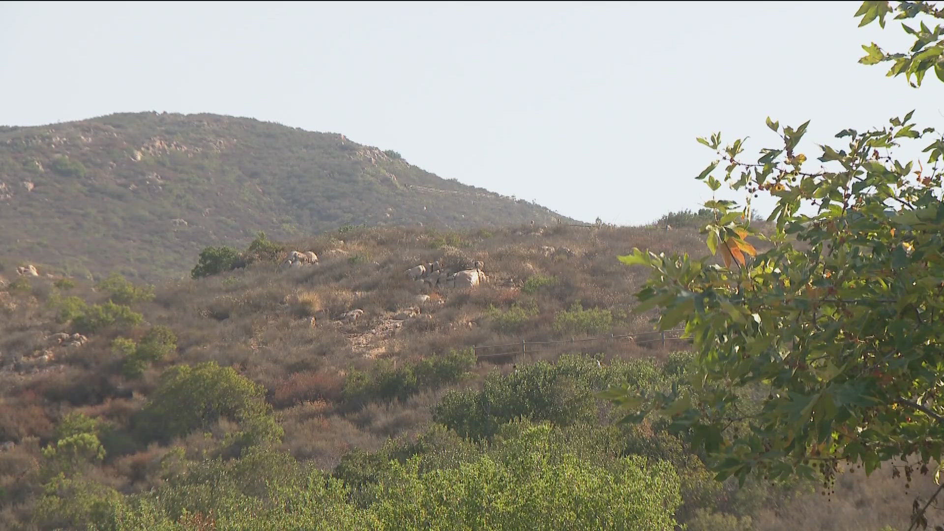 Headed outside? How to stay safe during extreme heat in San Diego ...