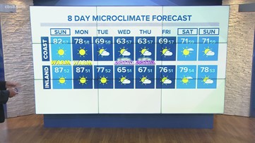 Steady to start, but toasty for the second half of the weekend