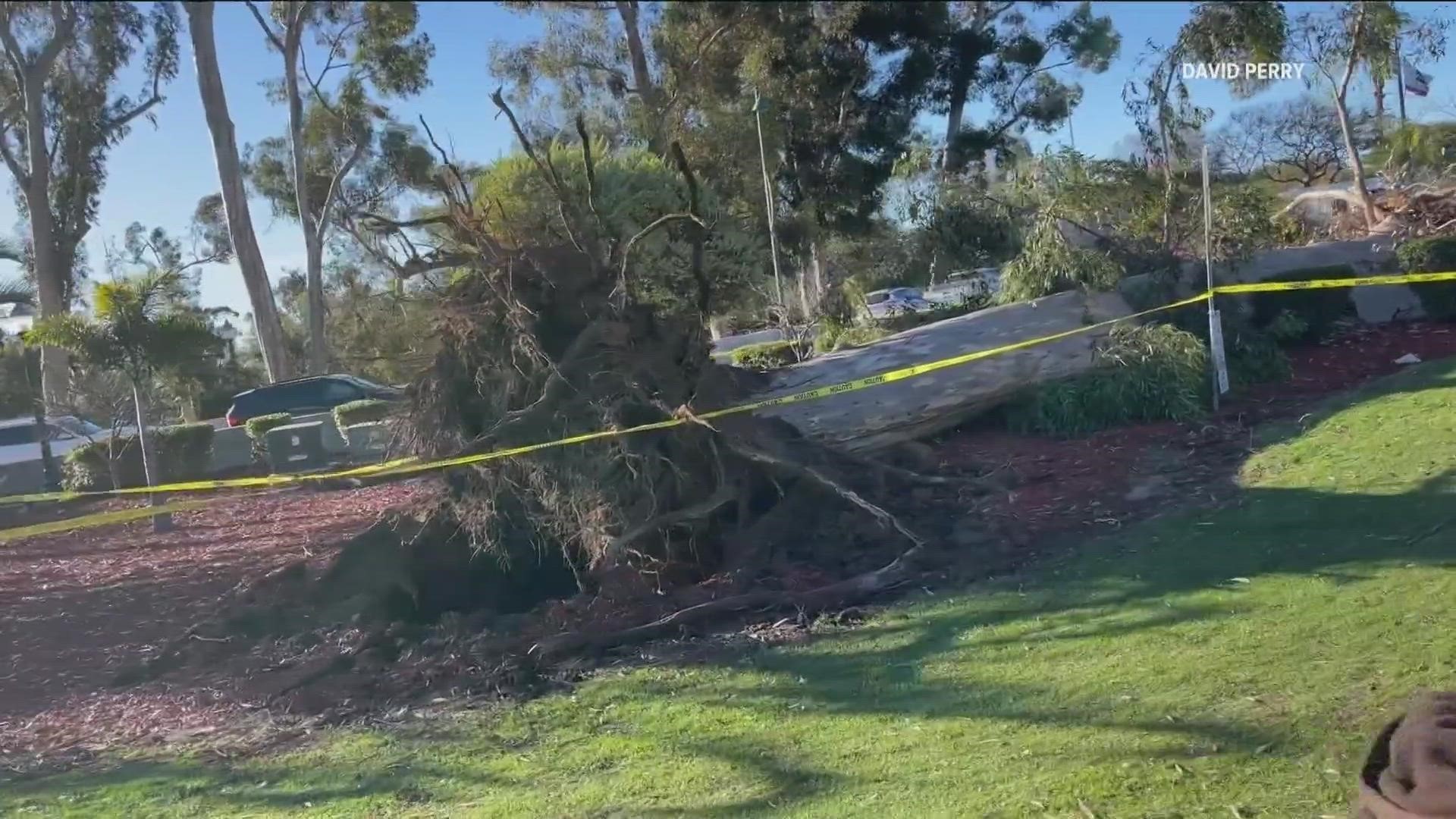 Balboa Park Golf Course, Presidio Park, and Chollas Lake were closed to the public due to gusty winds that caused giant trees to fall over.