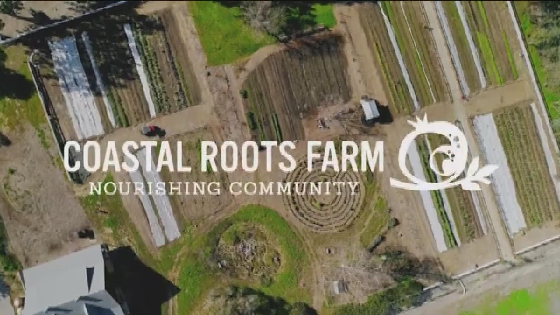 Coastal Roots Farm, a nonprofit Jewish community farm and education center in Encinitas, welcomes community members from all backgrounds to celebrate Tu B’Shvat.