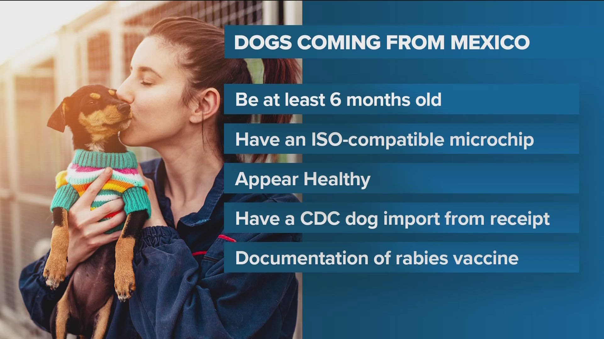 The requirements are meant to prevent the dog rabies virus from entering the U.S. However, they may affect efforts to rescue dogs from Mexico shelters.