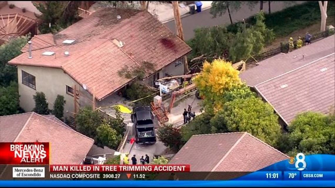 Man killed in tree trimming accident in La Mesa | cbs8.com