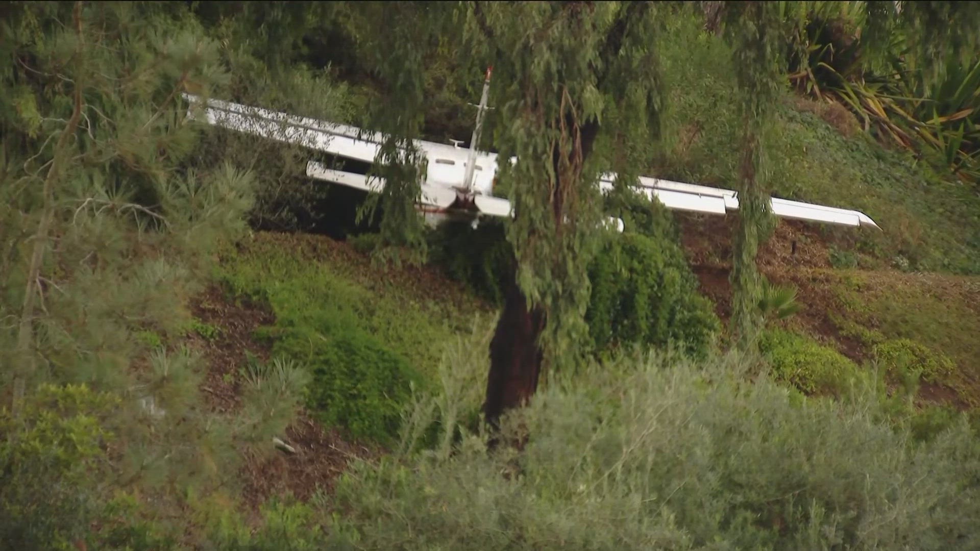 Pilot killed after small plane crashes into La Jolla hillside | cbs8.com