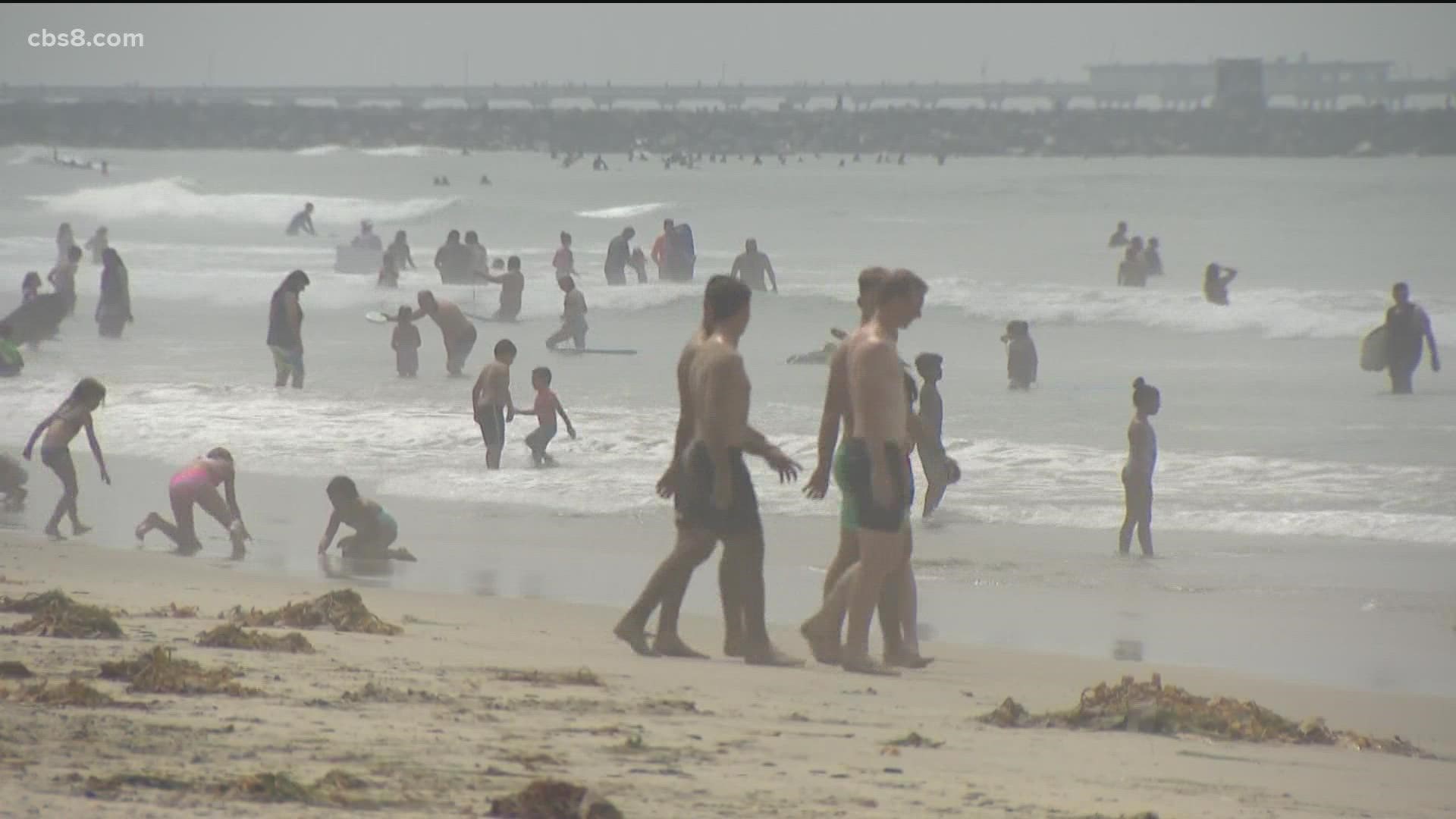 San Diego lifeguards and the National Weather Service were warning beachgoers of elevated surf and sting rays.