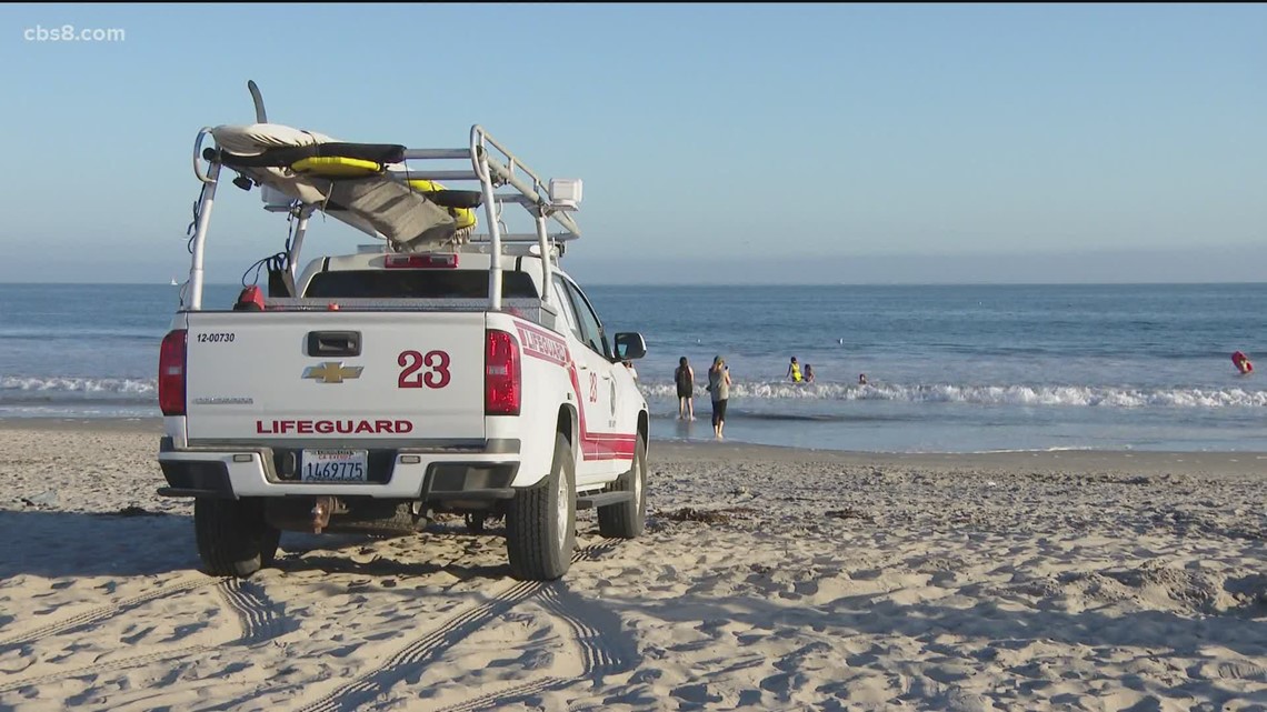 Great White Shark Coronado | cbs8.com