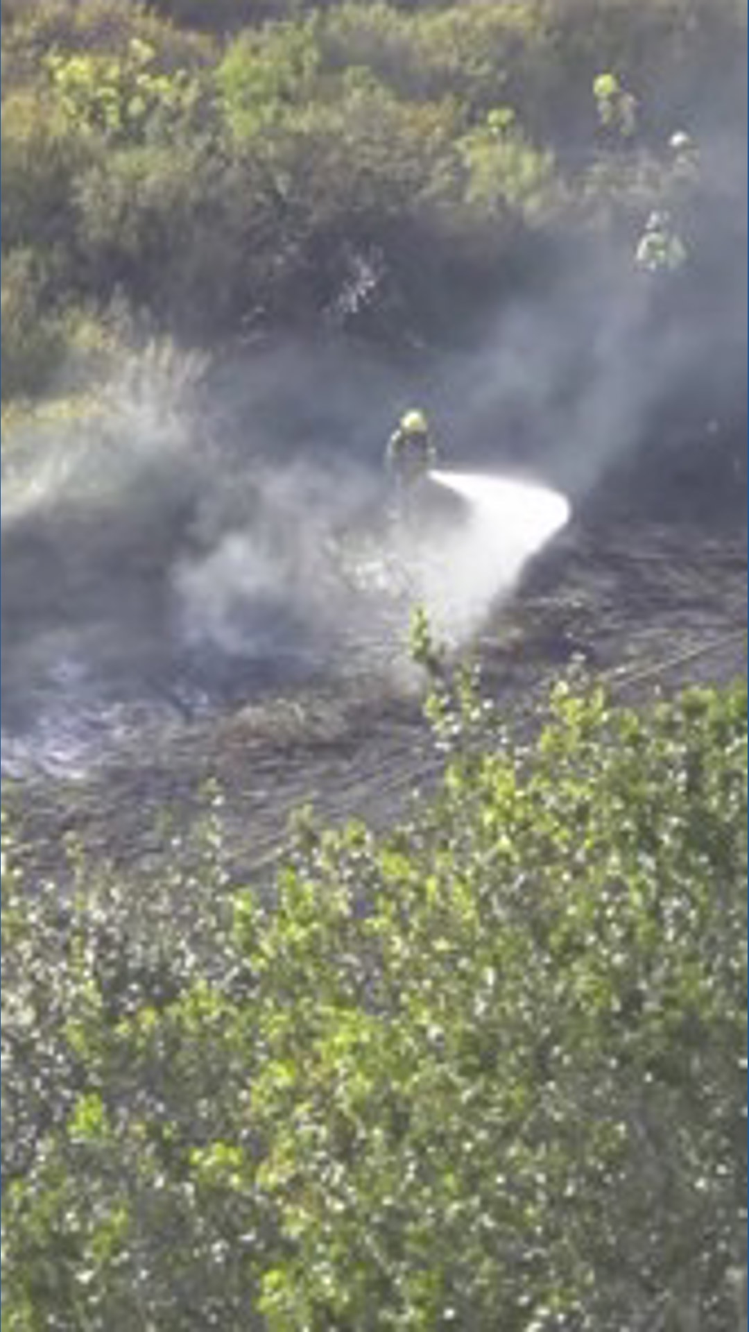 Fire crews battle brush fire in Black Mountain Ranch | cbs8.com