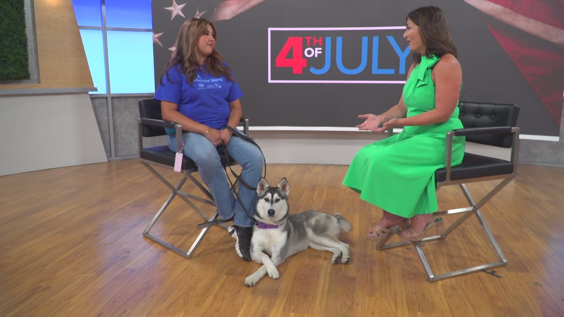 Chula Vista Animal Services joined CBS 8 to discuss what pet owners can do now to protect their pets ahead of Independence Day.