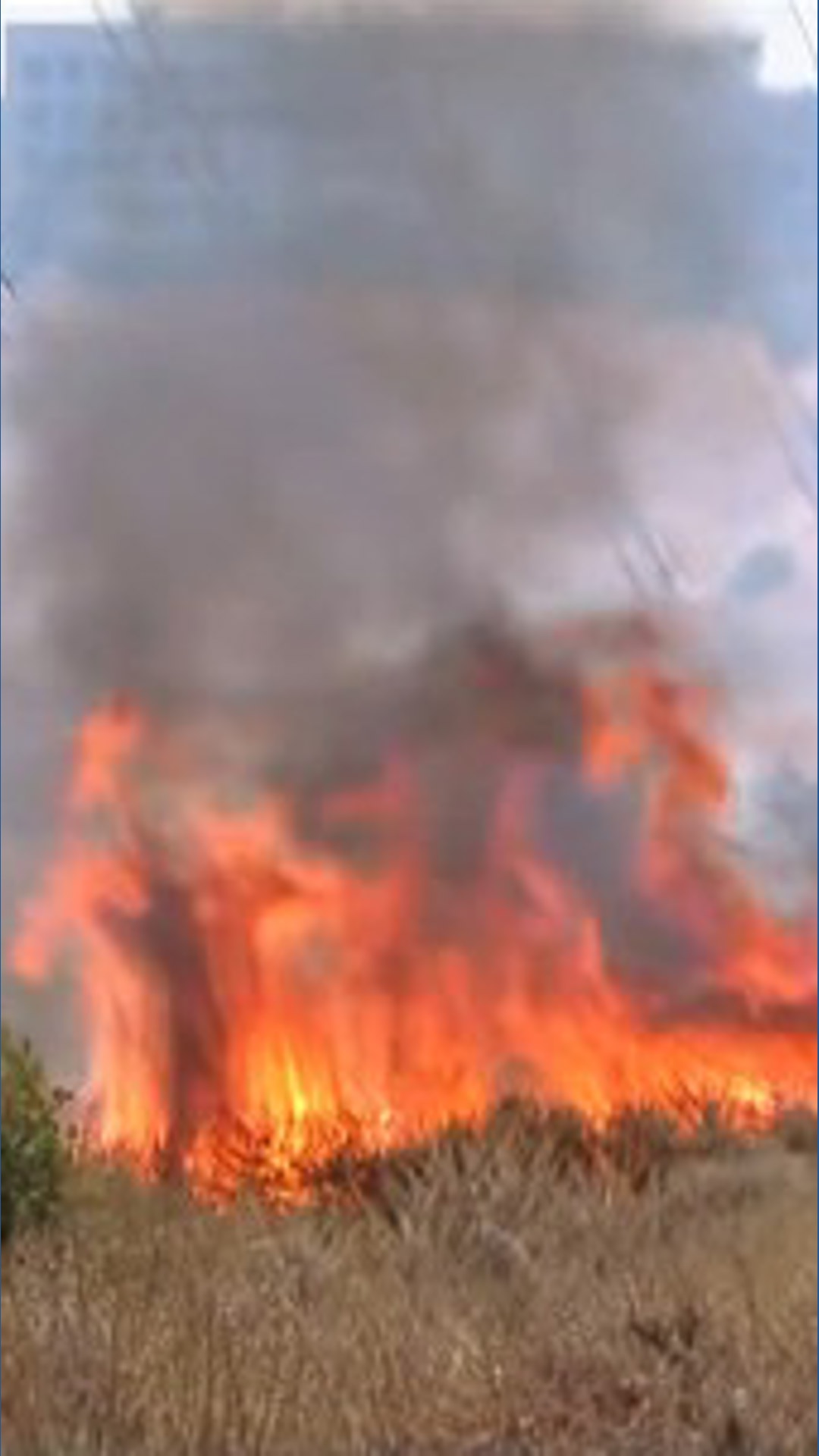 Fast-moving brush fire in San Diego's Sorrento Valley area | 11AM