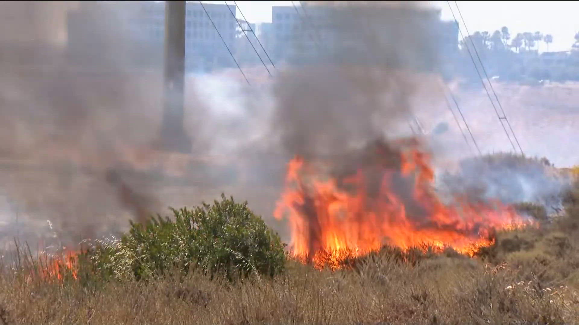 Fast-moving brush fire in San Diego's Sorrento Valley area | 11AM