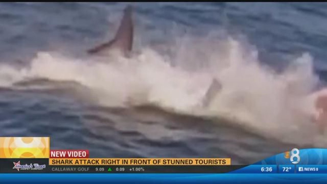 Shark attack stuns tourists | cbs8.com