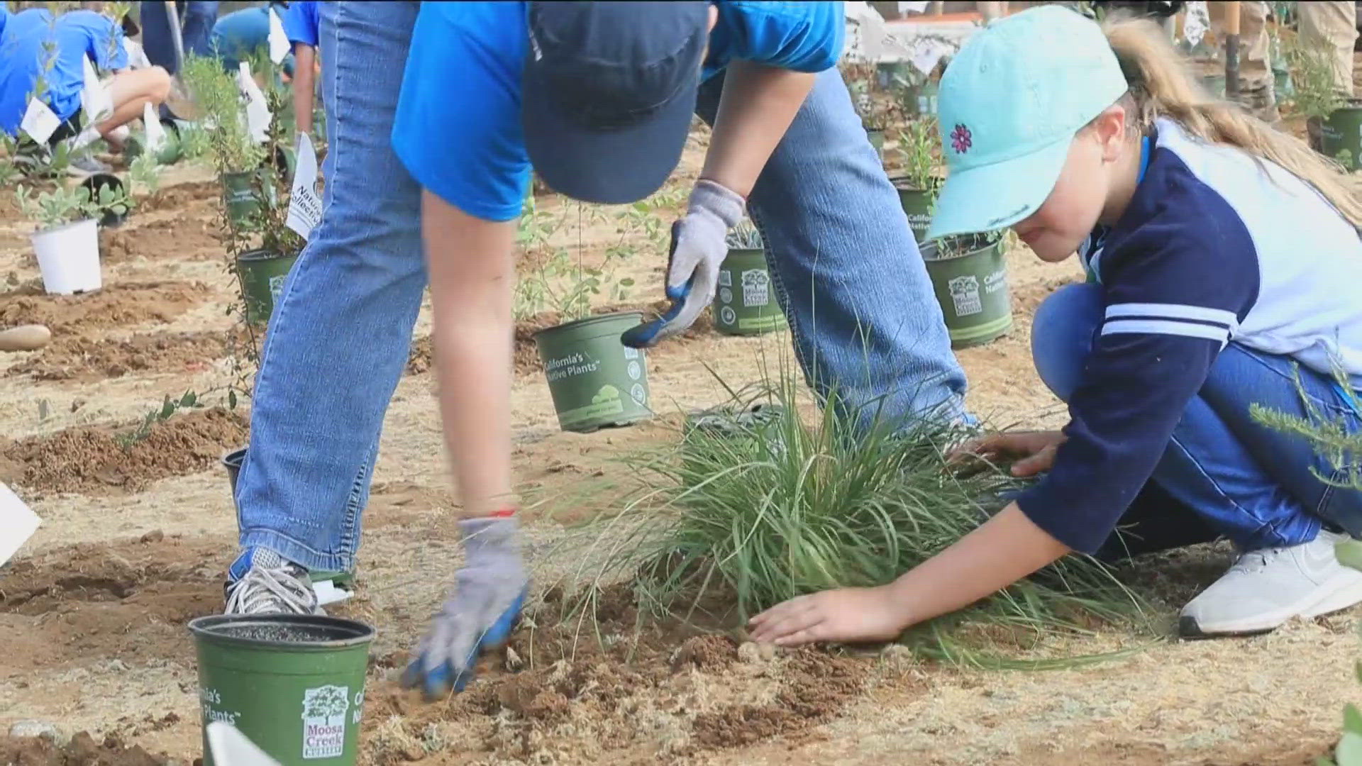 Events include Family Fun Day, San Elijo Lagoon Restoration, Discovery Tour, Wildlife Tour, Nature’s Allies, and Volunteer Restoration.