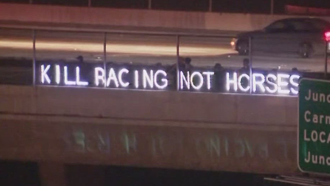 'Kill Racing Not Horses' group protests Del Mar horse races - Vimarsana News
