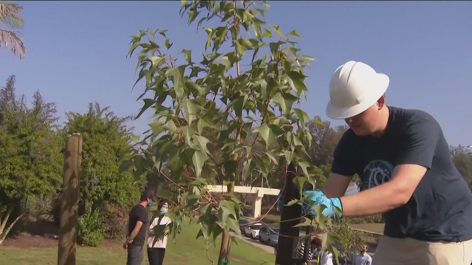 The federal grant will increase tree planting in underserved communities to help fight climate change and increase shade around San Diego.