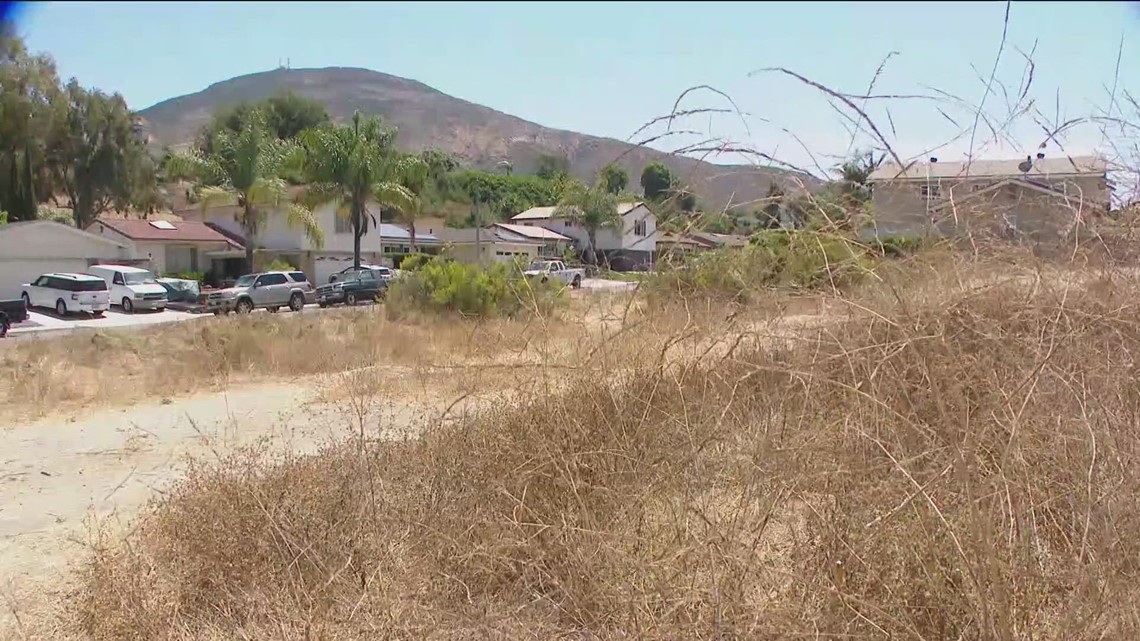 Who's responsible for clearing City of San Diego weeds? - Vimarsana News