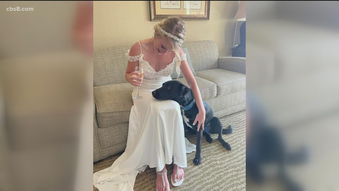 San Diego woman, her dog need votes to win Petco’s Love Story campaign ...