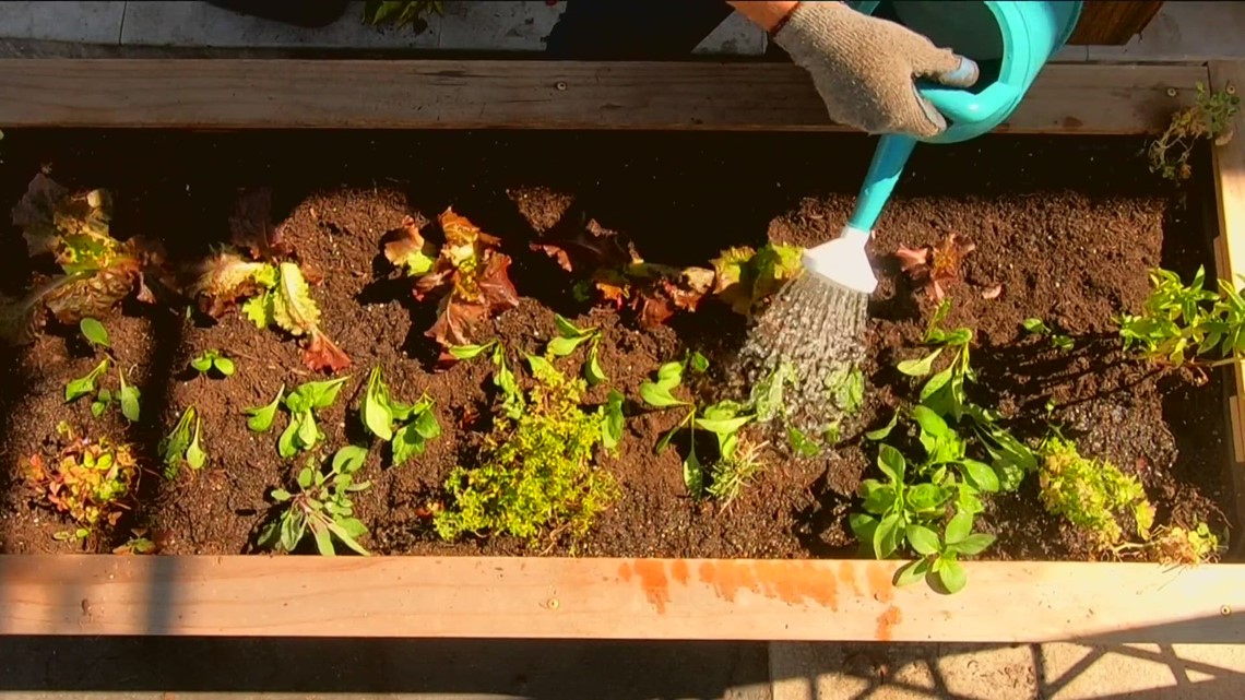 Fall season brings changes to Southern California home garden - Vimarsana News