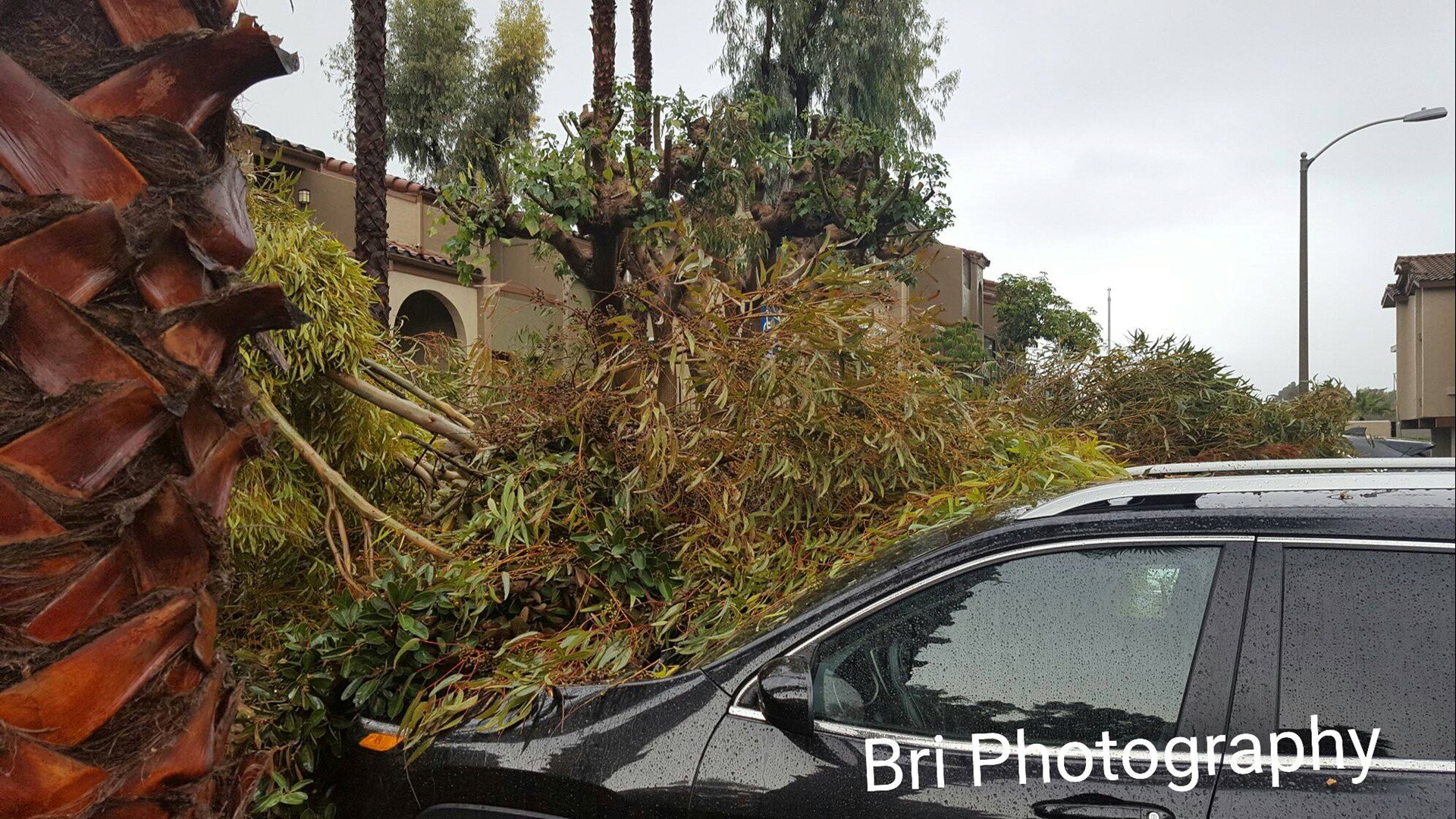 Photos San Diego Storm damage