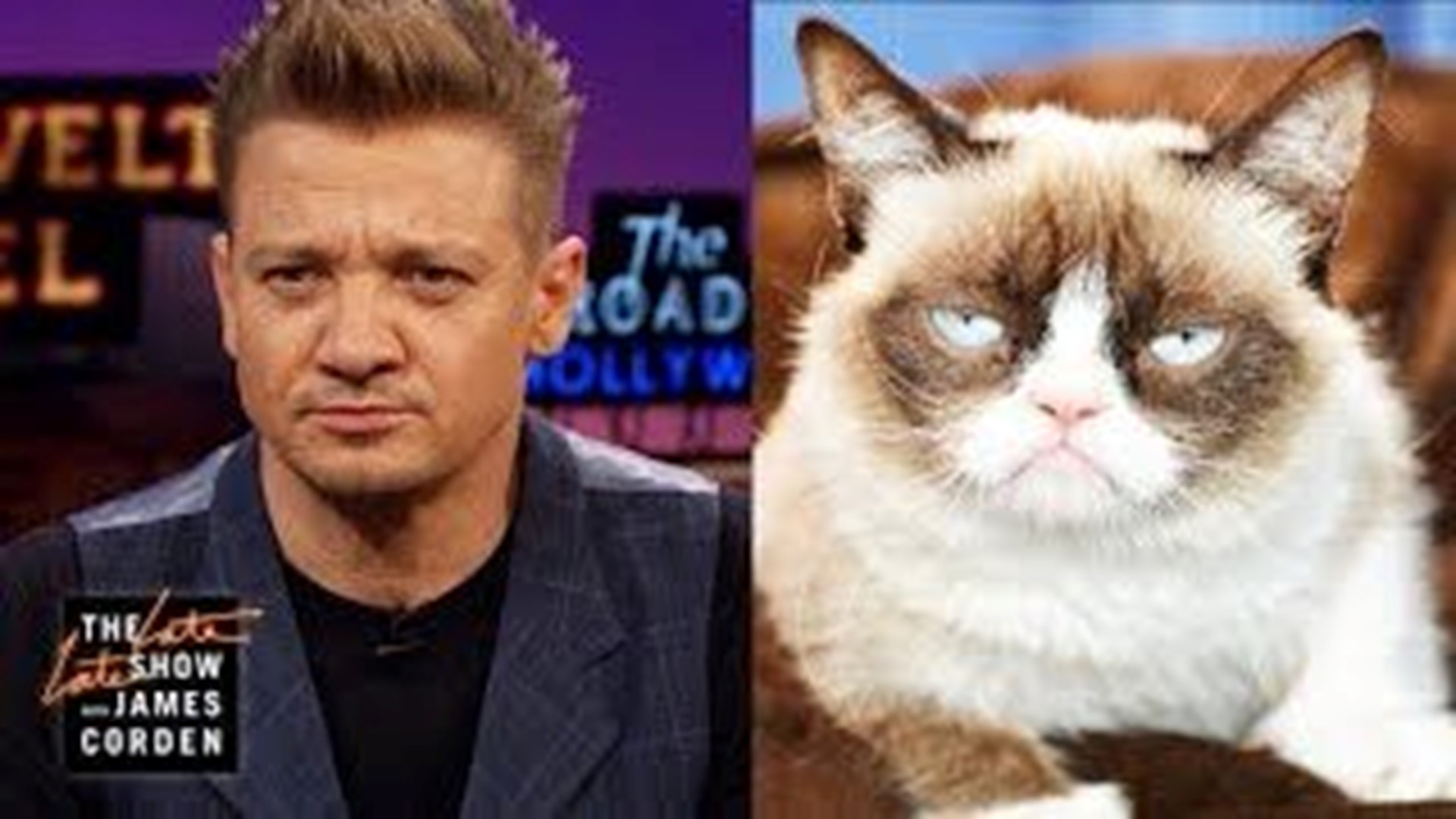 Jeremy Renner Is Grumpy Cat