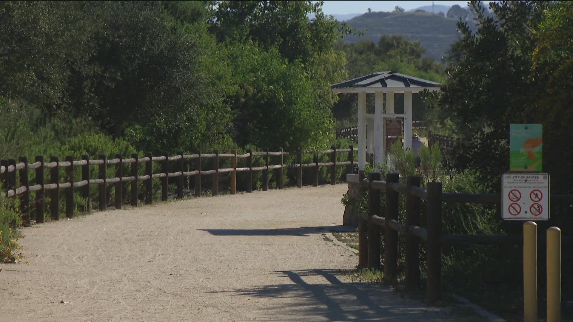 How you and your pet can stay safe during extreme heat in San Diego ...