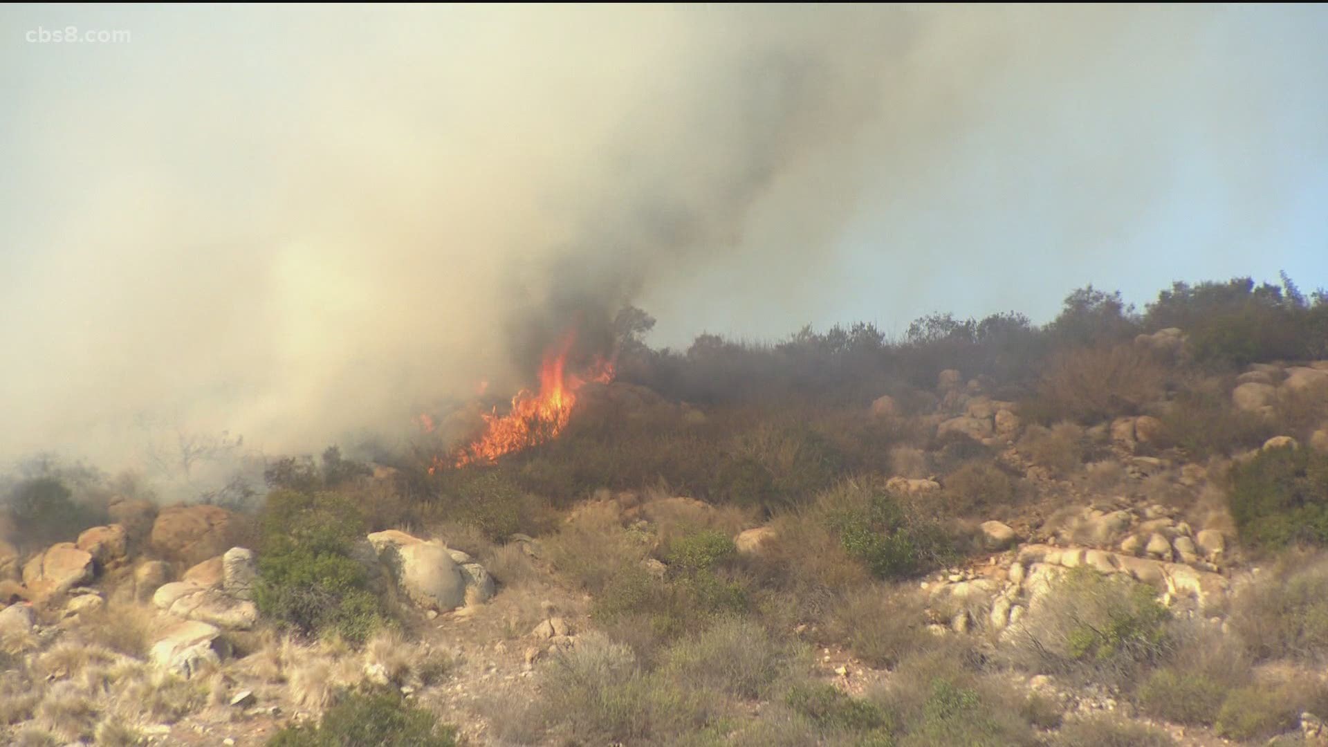 A brush fire that erupted in a botanical garden at
Palomar College Thursday afternoon swept over dozens of acres.