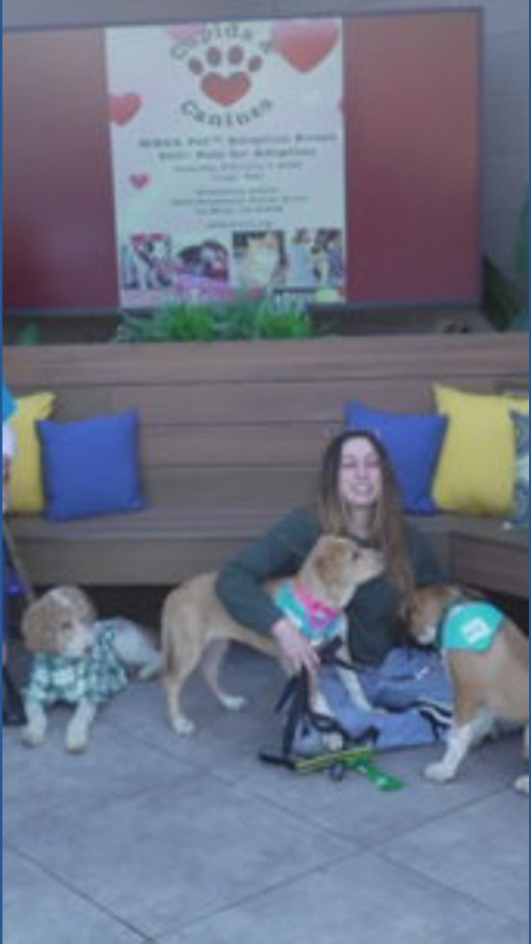 Cupids & Canines MEGA Pet Adoption Event | February 7 | cbs8.com