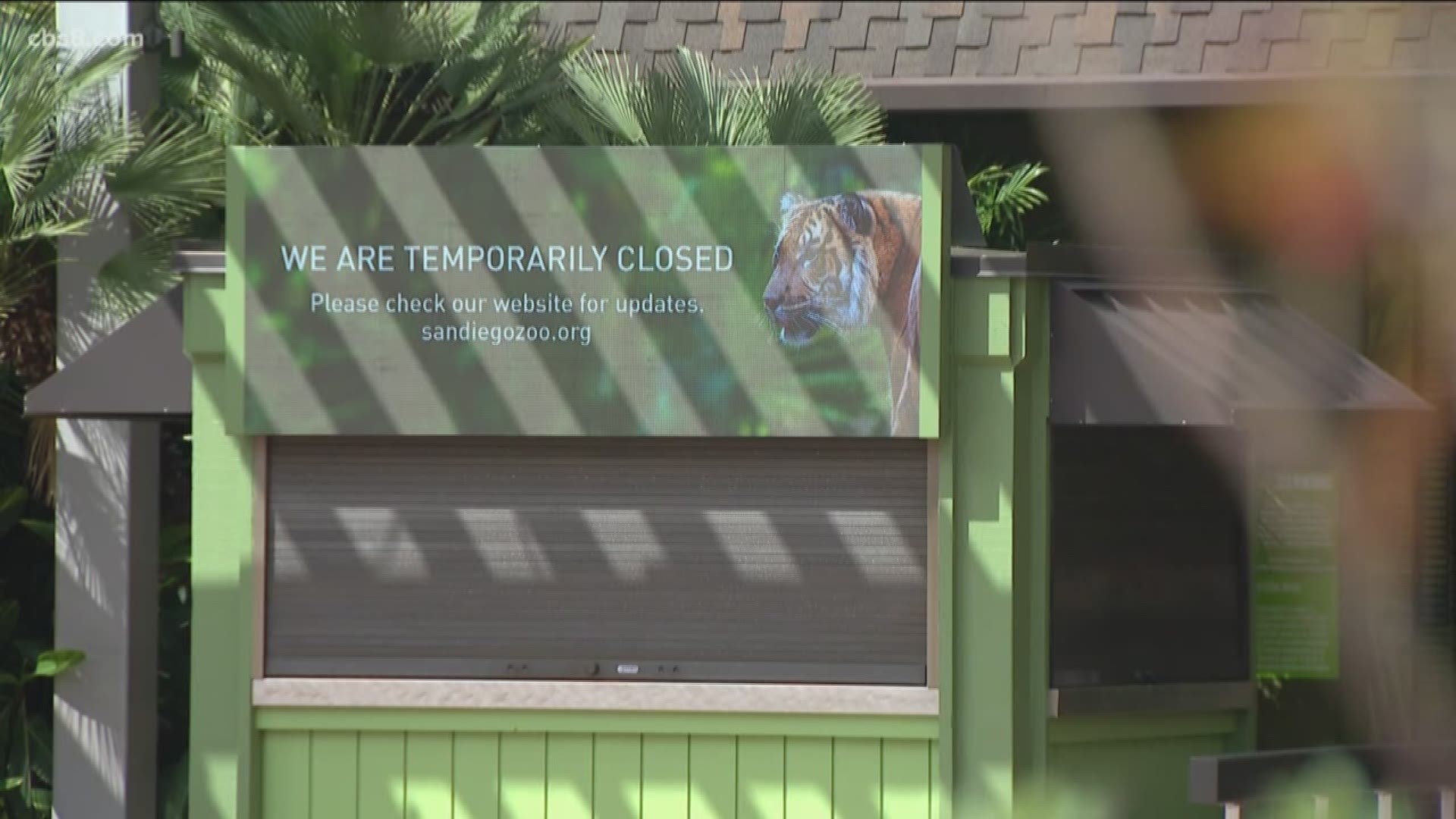 San Diego Zoo and Safari Park asking for donations to care for animals |  