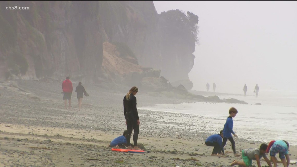 Lifeguards warn beachgoers about cliff collapse danger - Vimarsana News